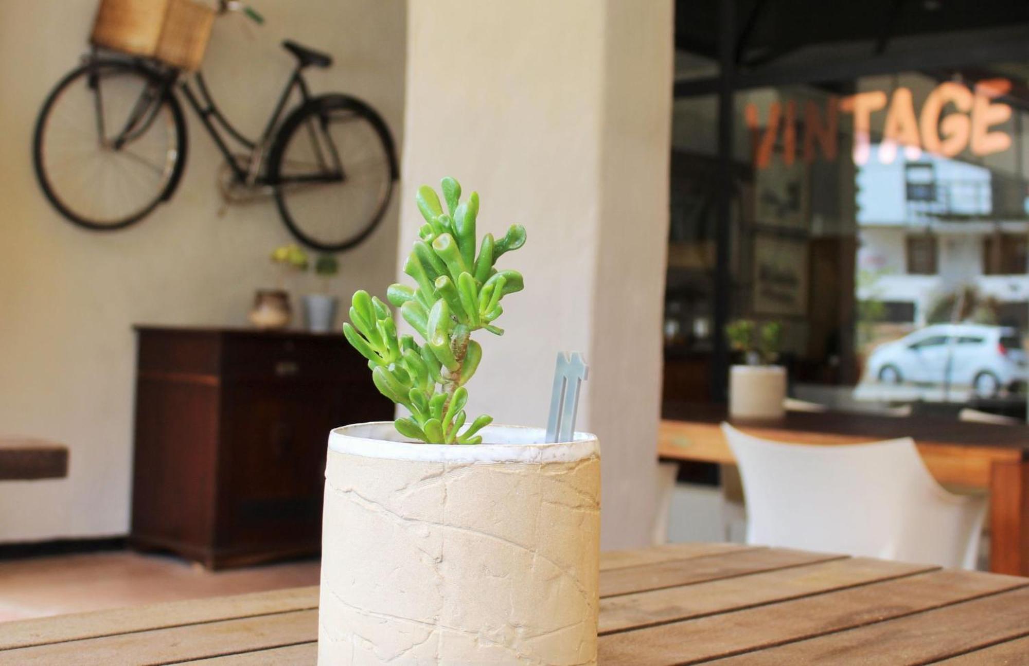 Barrydale Karoo - Boutique Hotel Buitenkant foto